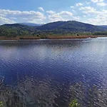 Bukowy