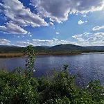 Bukowy