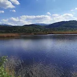 Bukowy