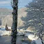Bukowy