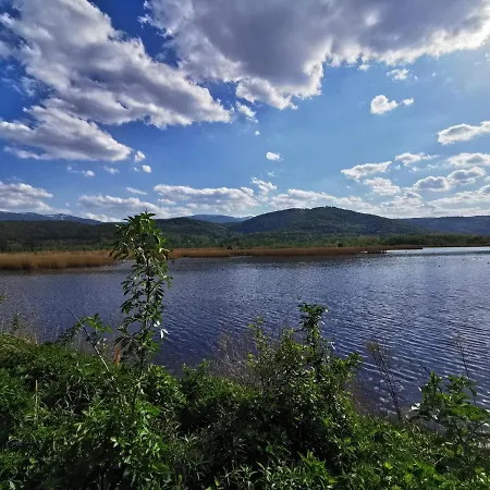 Bukowy
