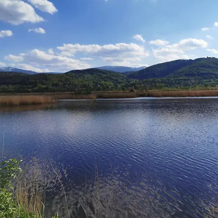 Bukowy